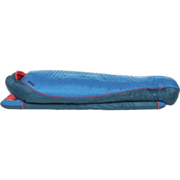 Anvil Horn 15 - Regular