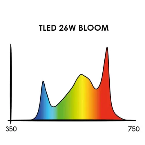 Secret Jardin TLED Bloom
